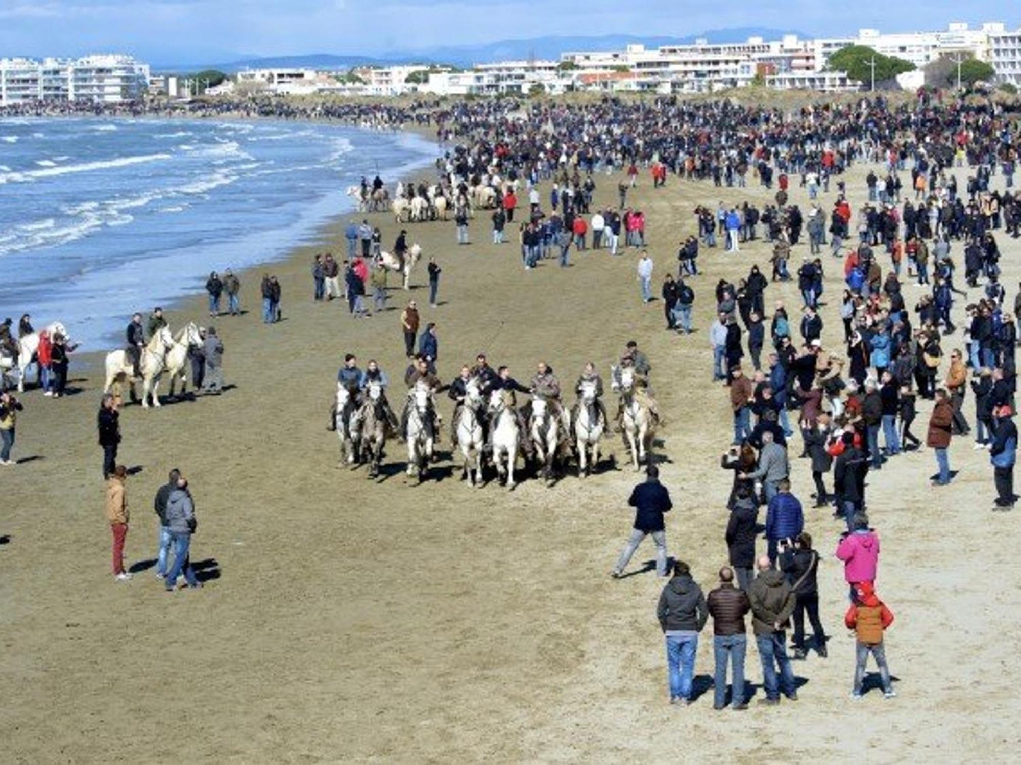 Maison P2 Mezzanine, Terrasse, Proche Plage Et Commerces, Parking Securise Au Grau-Du-Roi - Fr-1-307-142 Le Grau-du-Roi Eksteriør bilde